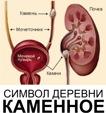 мочекаменная болезнь у животных актуальность патологии