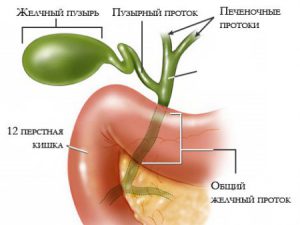 как пить минеральную воду ессентуки 4 при холецистите