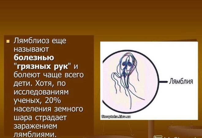 симптомы лямблиоза у детей комаровский