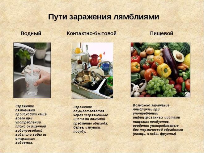 симптомы лямблиоза у детей комаровский